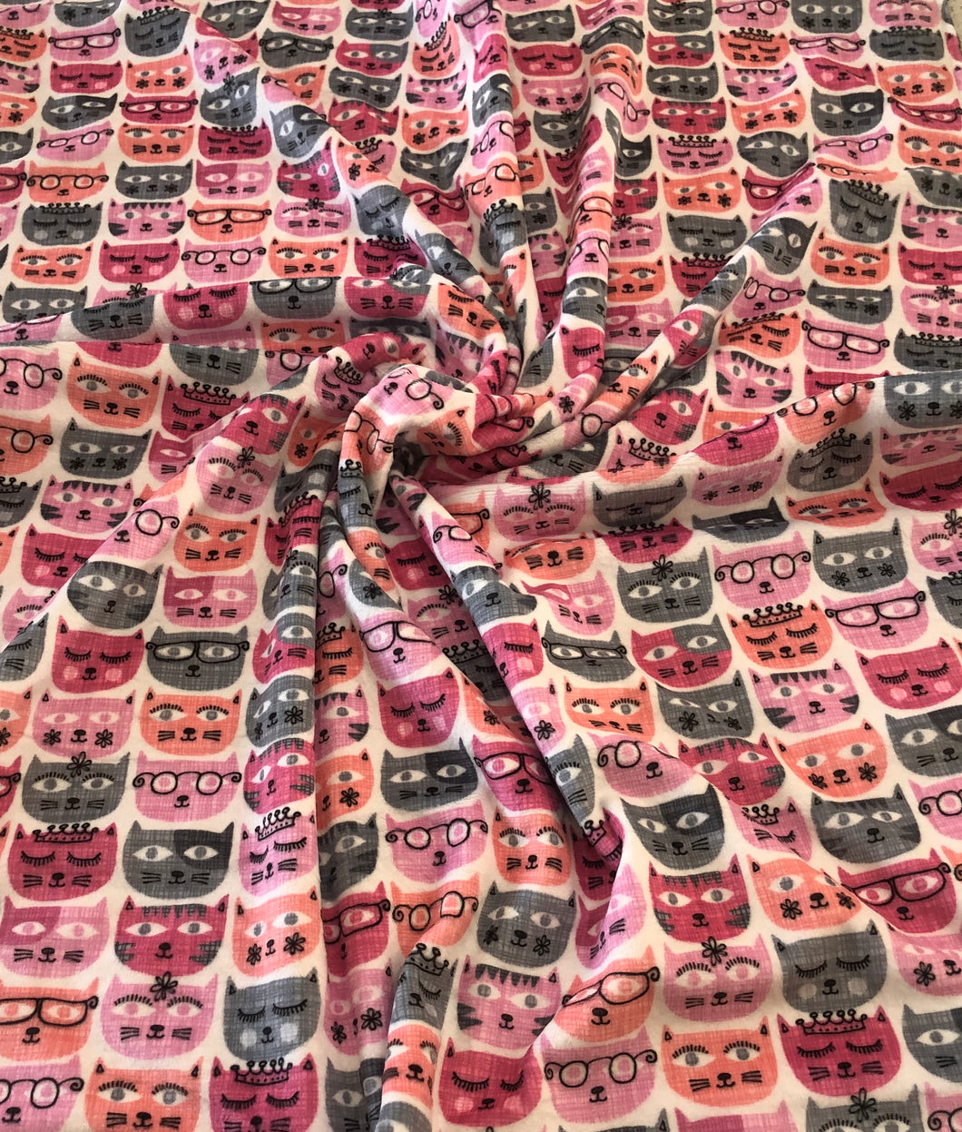 Cat Minky Blanket
